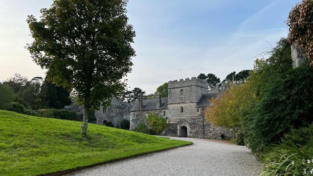 Wildlife Walk at Cotehele