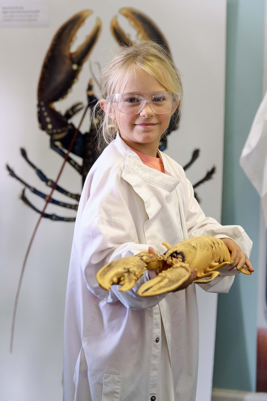 The National Lobster Hatchery - image 1